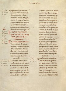 Pagina di testo