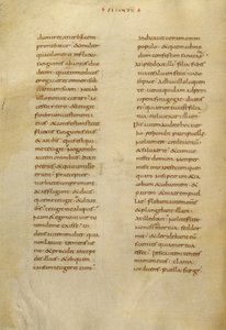 Pagina di testo