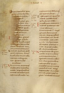 Pagina di testo