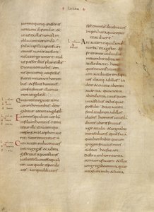 Pagina di testo