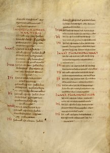 Pagina di testo da Unknown artist