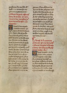 Pagina di testo