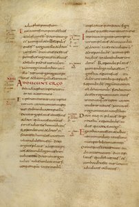 Pagina di testo