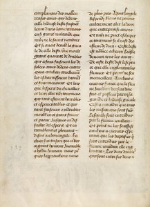 Pagina di testo da Unknown artist