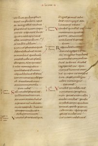 Pagina di testo