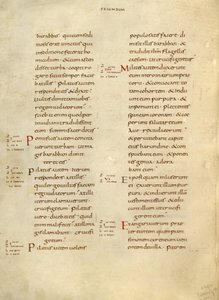 Pagina di testo da Unknown artist