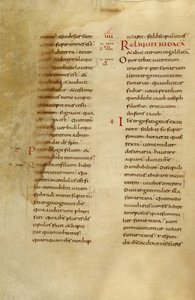 Pagina di testo