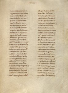 Pagina di testo da Unknown artist