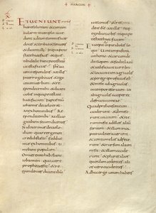 Pagina di testo da Unknown artist