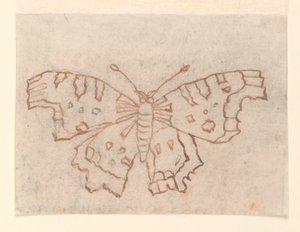 Disegno tessile: Una farfalla da Unknown artist