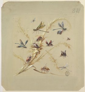 Disegno di tessuto o carta da parati: insetti da Unknown artist