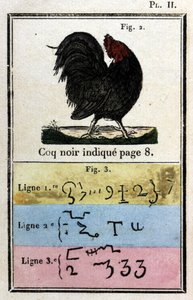 Il Gallo Nero. Grimorio di Papa Onorio usato per evocare demoni. Ed. del 1760. da Unknown artist
