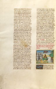 Gli Egizi venerano l