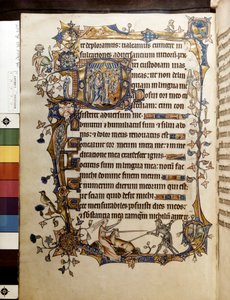 La Quercia e un Unicorno, Illustrazione dal 
