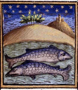 I Pesci. Miniatura di un oroscopo. Manoscritto del XV secolo. Bibl. Trivulziana, Milano