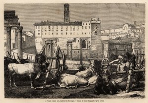 Il foro romano ha l