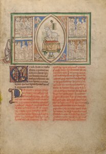 La visione dell