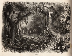 Gli indiani Yahua del Perù sono in attesa di selvaggina, appollaiati sui rami e armati di cerbottane con freccette avvelenate. Incisione per illustrare il viaggio dall