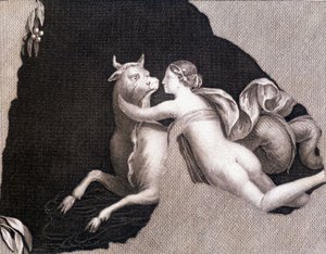 Il ratto d