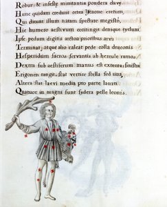 La costellazione rappresentata è quella di Boote, che sostiene i capelli di Berenice con la mano sinistra. Pagina di un manoscritto del XVIII secolo basato sul manoscritto originale 