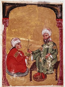 Il medico e botanico Pedanio Dioscoride seduto con uno dei suoi studenti Miniatura dal suo trattato De materia medica da Unknown artist