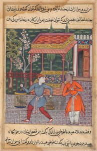 Il mercante di Tirmiz porta il saggio pappagallo e la myna a ‘Ubaid, da un Tuti-nama (Racconti di un pappagallo): Quarantaduesima Notte