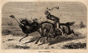 La caccia allo struzzo, tratto da una fotografia, per illustrare la storia della caccia in Africa di William Charles Baldwin tra il 1852 e il 1860. Incisione in "Le tour du monde", a cura di Edouard Charton
