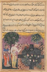 Il principe, avendo privato il serpente del suo cibo naturale, una rana, lo nutre con un pezzo della sua carne, da un Tuti-nama (Tales of a Parrot): diciottesima notte da Unknown artist