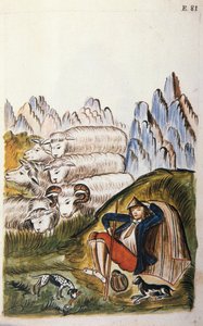 Il pastore e il suo gregge di pecore, dal libro "Trujillo del Peru" o "Codice Martínez Compañón", di Baltazar Martinez Compañón y Bujanda, vescovo di Trujillo (1782-1785)