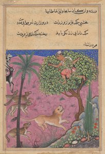 Il lupo e lo sciacallo, che servono come visir, istigano il leone che insegue il Brahmano su un albero, da un Tuti-nama (Racconti di un pappagallo): Ventunesima Notte da Unknown artist