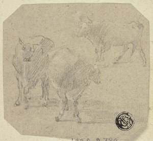 Tre mucche da Unknown artist