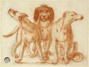 Tre cani da Unknown artist