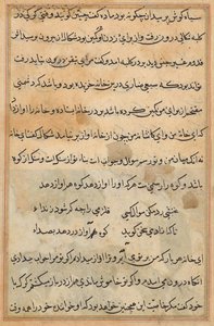 Tuti-Nama (Tales of a Parrot) da Unknown artist