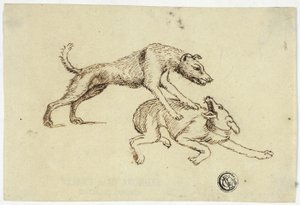 Due cani che combattono da Unknown artist