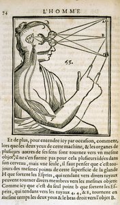 Immagine sconosciuta