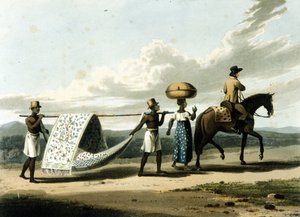 Immagine sconosciuta