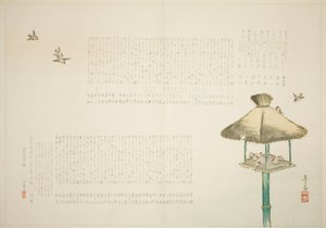 Sconosciuto