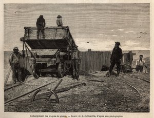 Scarico dei vagoni di guano nelle Isole Chincha (Oceano Pacifico, vicino alla costa sud-occidentale del Perù), il cui principale interesse era lo sfruttamento dei depositi di guano (usato come fertilizzante), depositi su scogliere di granito che servono da da Unknown artist