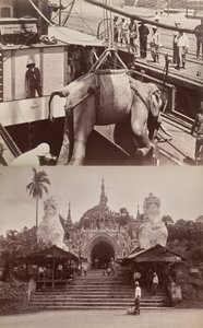Senza titolo: (elefante che viene caricato su una nave, recto); (gradini e edificio, verso) da Unknown artist