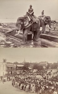 Senza titolo: (elefanti che spostano blocchi di legno, recto); (processione o folla, verso) da Unknown artist