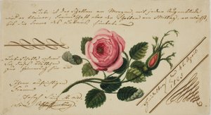 Senza titolo (Fiore rosa) da Unknown artist