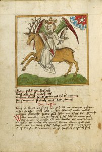 Venere a cavallo di un cervo da Unknown artist