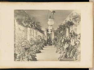 Veranda. Casa del Governo. Maurituis.