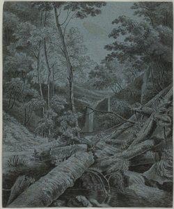 Cascata e tronchi caduti nella foresta da Unknown artist