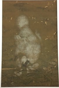Gallina bianca e pulcini da Unknown artist