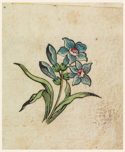 Prova di Stampa su Legno per un Tessuto Stampato da Unknown artist