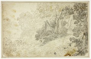 Paesaggio Fluviale Boschivo con Vista del Castello