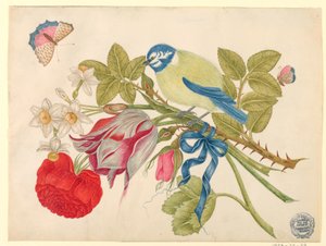 Uccello giallo e blu su bouquet con rosa, tulipani e narcisi, con farfalle da Unknown artist