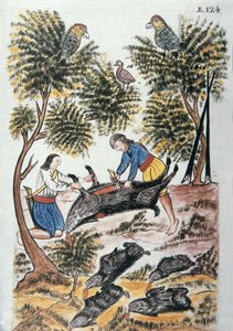 Giovani indiani motilones macellano un cinghiale, dal libro "Trujillo del Peru" o "Códice Martínez Compañón", di Baltazar Martinez Compañón y Bujanda, vescovo di Trujillo (1782-1785)