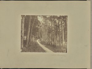 Viale Tiendong da Unknown artist/maker